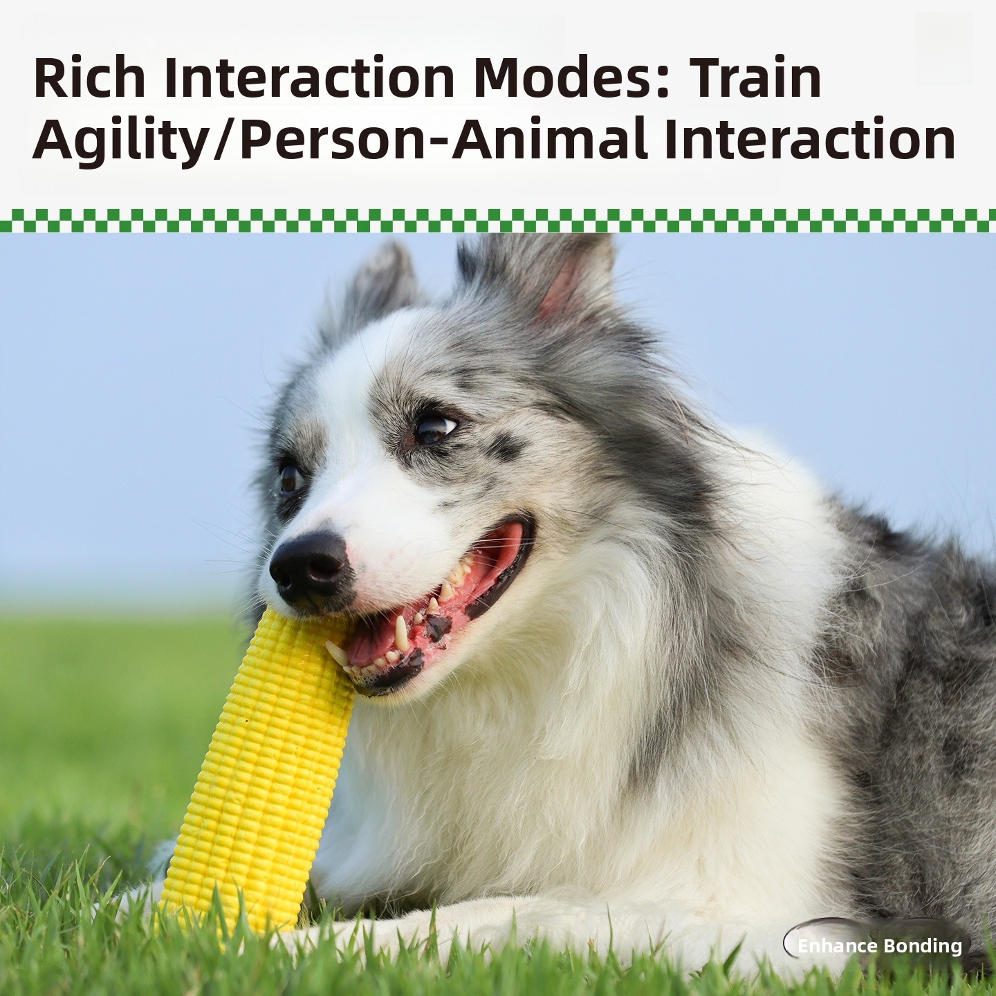 QZee Durable ETPU Corn Dog Toy - Corn Dog Stick 评论和价格