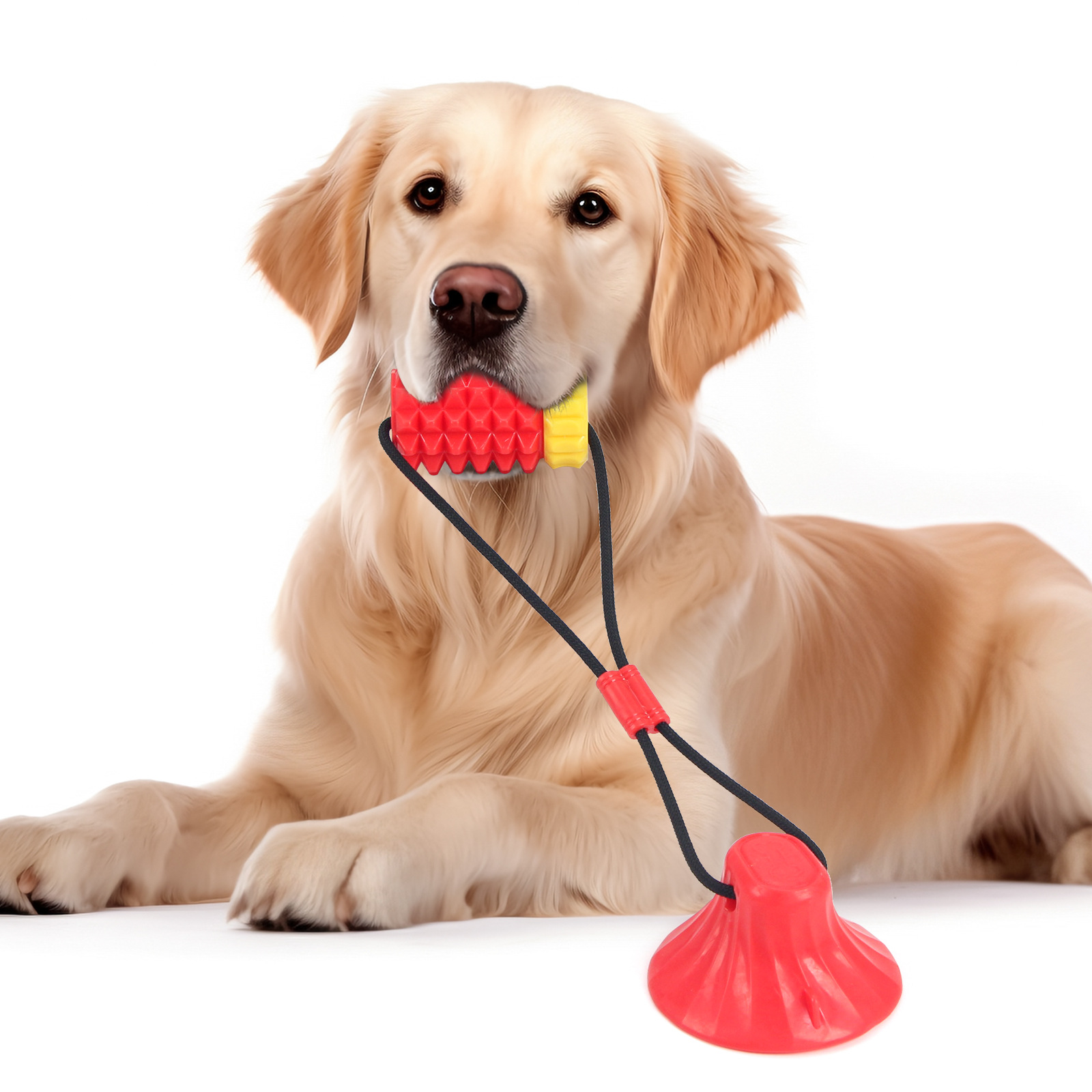 Simulated Corn Cob TPR Dog Toy - Corn Dog Stick 评论和价格